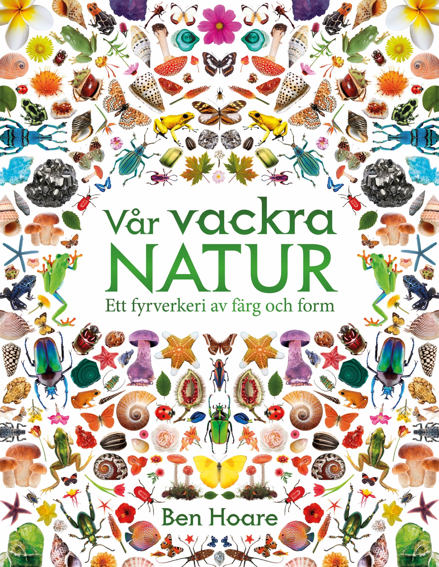 Vår vackra natur - Ett fyrverkeri av färg och form