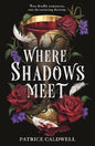 Where shadows meet