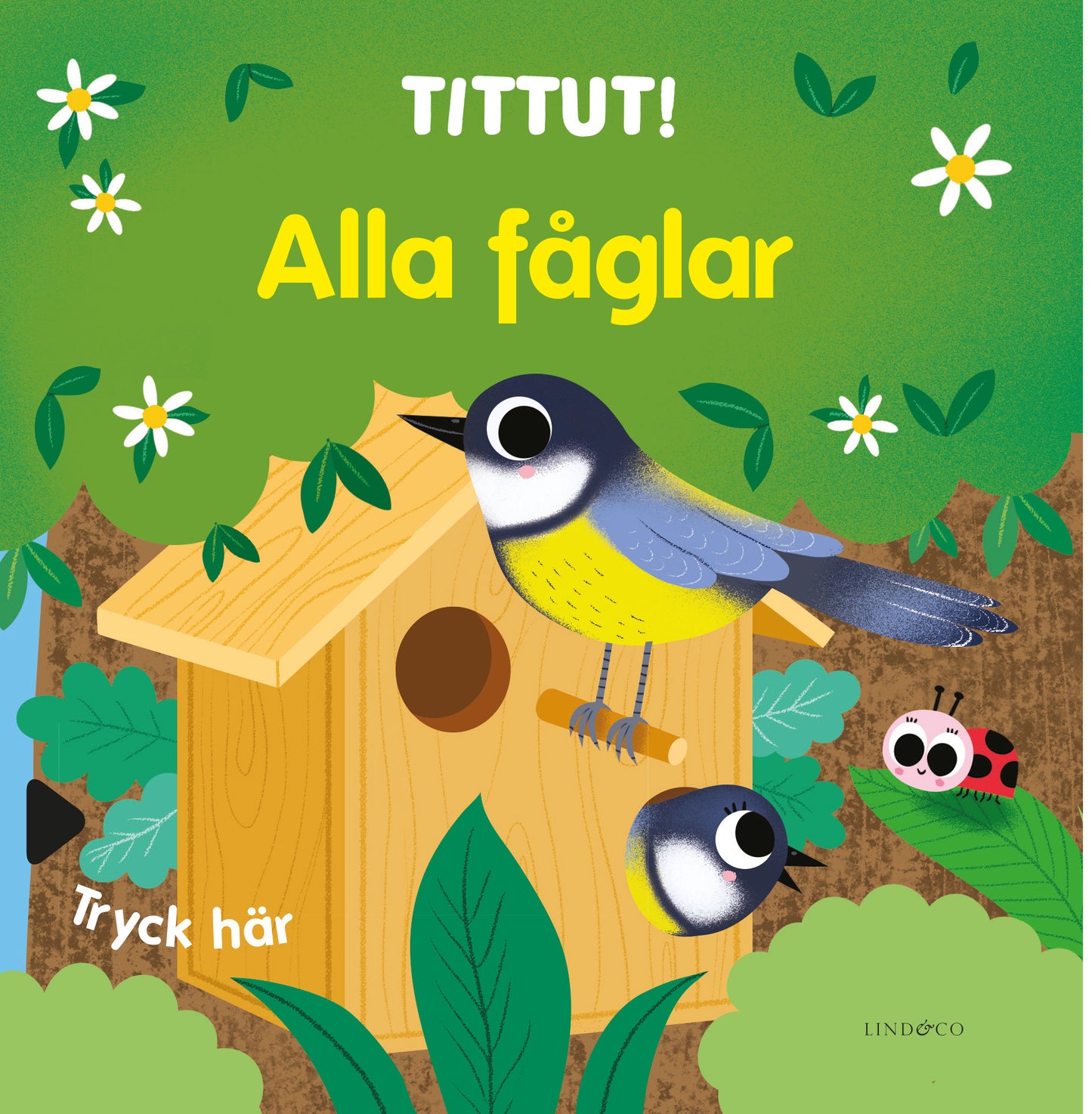 Alla fåglar