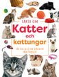 Fakta om katter och kattungar