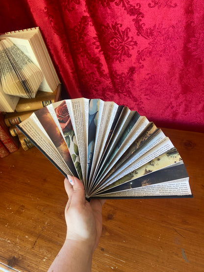 Book fan - Romantasy