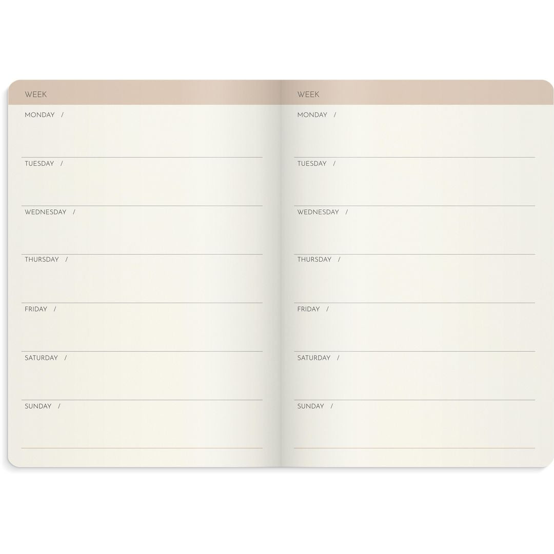 Weekly planner deluxe odaterad